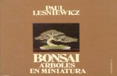 Bonsai, Arboles en Miniatura Español