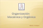 Organica Versus Mecanica