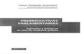 CDG - Prerrogativas Parlamentarias. Aplicación y límites del antejuicio político