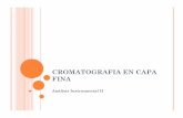 Cromatografía en Capa Fina 1 23 y 25-02-09