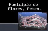 Municipio de Flores, Sin Tildes
