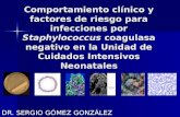 Comportamiento clínico de las infecciones por Staphylococcus coagulasa FORO