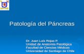 07-Patología Digestiva-Páncreas exocrino