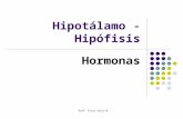 PP Hipotalamo hipofisis hormonas