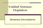Sistemas Org. Circulatorio 5