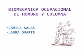 Biomecanica Ocupacional de Hombro y Columna