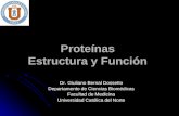 Procesos Biologicos - 04 - Estructura y Funcion de Proteinas.27.03.09