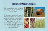 Diapositivas Biocombustibles