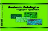 Anatomia Patologica Cirion