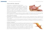 Apendicitis Aguda y Diverticulitis