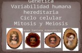 Variabilidad humana hereditaria y Ciclo celular GENETICA uvm1semestre.. =)