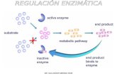 Regulación enzimática