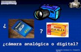 Fotografia Digital vs Fotografia Analogica