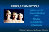 WEBQUEST- ETAPAS EVOLUTIVAS