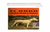 El Dogo Argentino by Agustin Nores