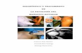 Ruiz D. Platero - Diagnóstico y tratamiento en patologías del manguito rotador