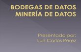 Bodegas de Datos y Mineria de Datos