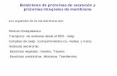 biologia celular - clase 06