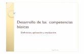 Desarrollo de las competencias básicas: definición, aplicación y evaluación
