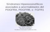 Sindrome Hipereosinofilicos Dra Natalia Aranguiz