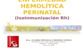 Enfermedad Hemolitica Feto Neonatal