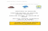 DISEÑO CURRICULAR BASICO DE INSTITUTOS SUPERIOR TECNOLOGICOS LEY 29394