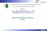 Las Megatendencias y los Agronegocios en México (VCT)