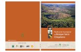 Planificación Ecorregional Del Bosque Seco Chiquitano