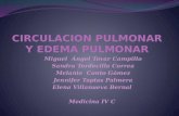 fISIOLOGIA CIRCULACION PULMONAR