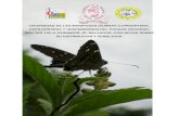 Diversidada de Mariposas El Salvador,Parque Walter Thilo Deinninger