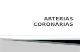 ARTERIAS CORONARIAS