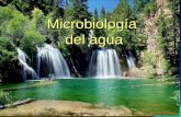 Microbiología del AGUA 4