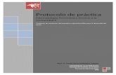 Protocolo de Practica - (Semana 1-5)