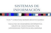 Sistemas de Información v1.0 ©2010 TCIN ™ Christian Hernán Bedoya Suárez