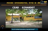 PERIODO INTERSEMESTRAL MITAD DE AÑO UNAD CEAD GIRARDOT