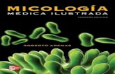 Micologia Medica Ilustrada 3 Edicion - Roberto Arenas