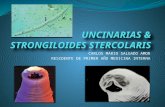 UNCINARIAS & STRONGILOIDES STERCOLARIS