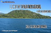 Lesion Inmunitaria