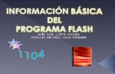 Programa Flash[1]
