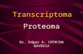 Transcriptoma y Proteómica