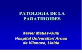 anatomia patologica - paratiroides