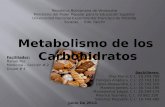 Metabolismo de Los Carbohidratos. Grupo4!