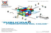 Proyecto de Investigación- PERCEPCIÓN DEL COLOR Y PUBLICIDAD