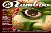 Revista Bamboo Numero2