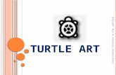 Turtle Art Nuevo Portfolio