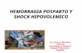 Hemorragia Posparto y Shock Hipovolemico