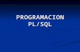 Curso PL/SQL