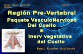 Anatomia Grupo Atlas Clase 3 Region Prevertebral e Inervacion.