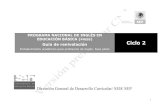 CICLO 2-4. Guía de re-nivelación español