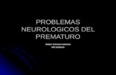 Problemas Neurologicos Del Prematuro